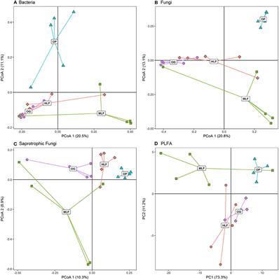 Soil Microbial Community and Litter Quality Controls on Decomposition Across a Tropical Forest Disturbance Gradient